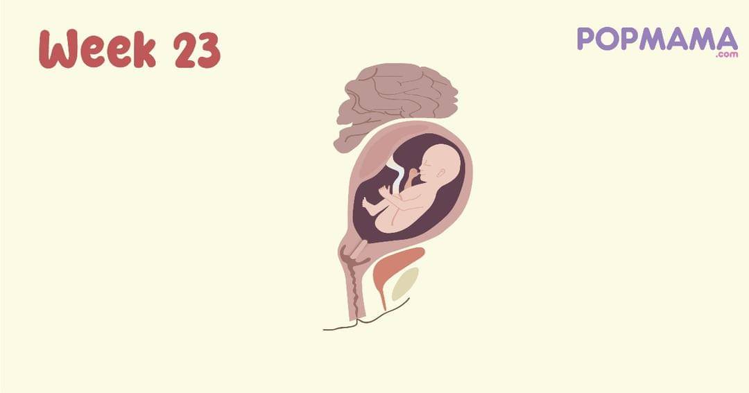 Popmama.com/Aristika Medinasari